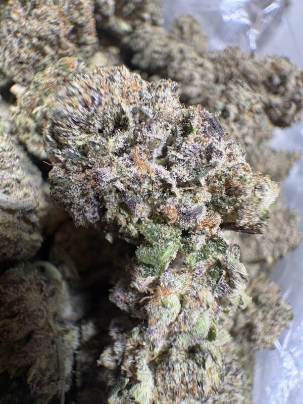 Cherry Cookie - Image 4