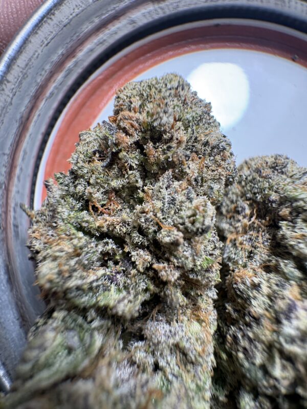 Cherry Cookie - Image 3