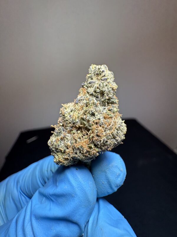 Lemon Cookie (living soil) - Image 3