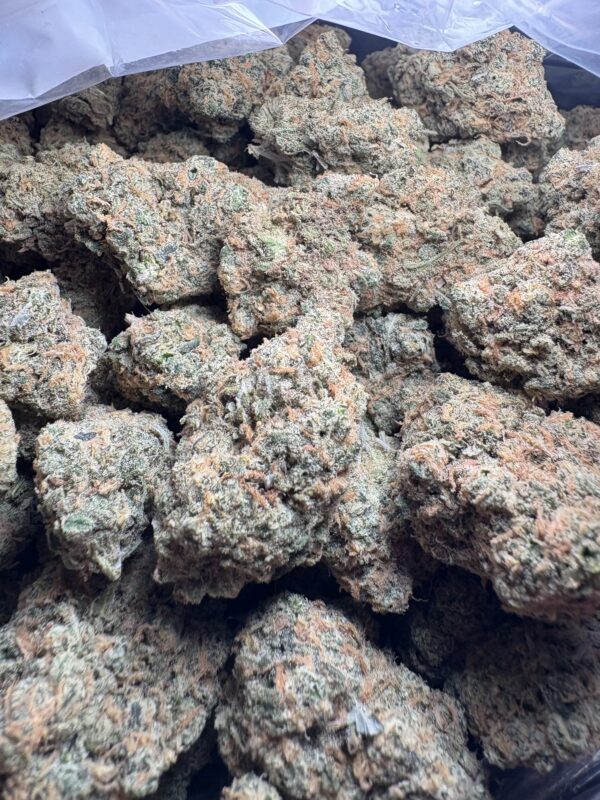 STIIIZY Blue Dream
