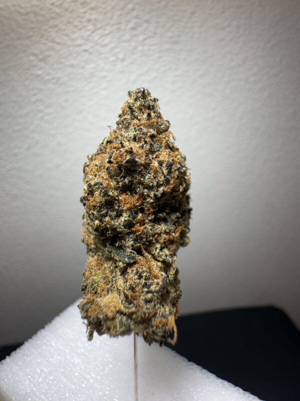 Gelato X ZF4 - Image 3