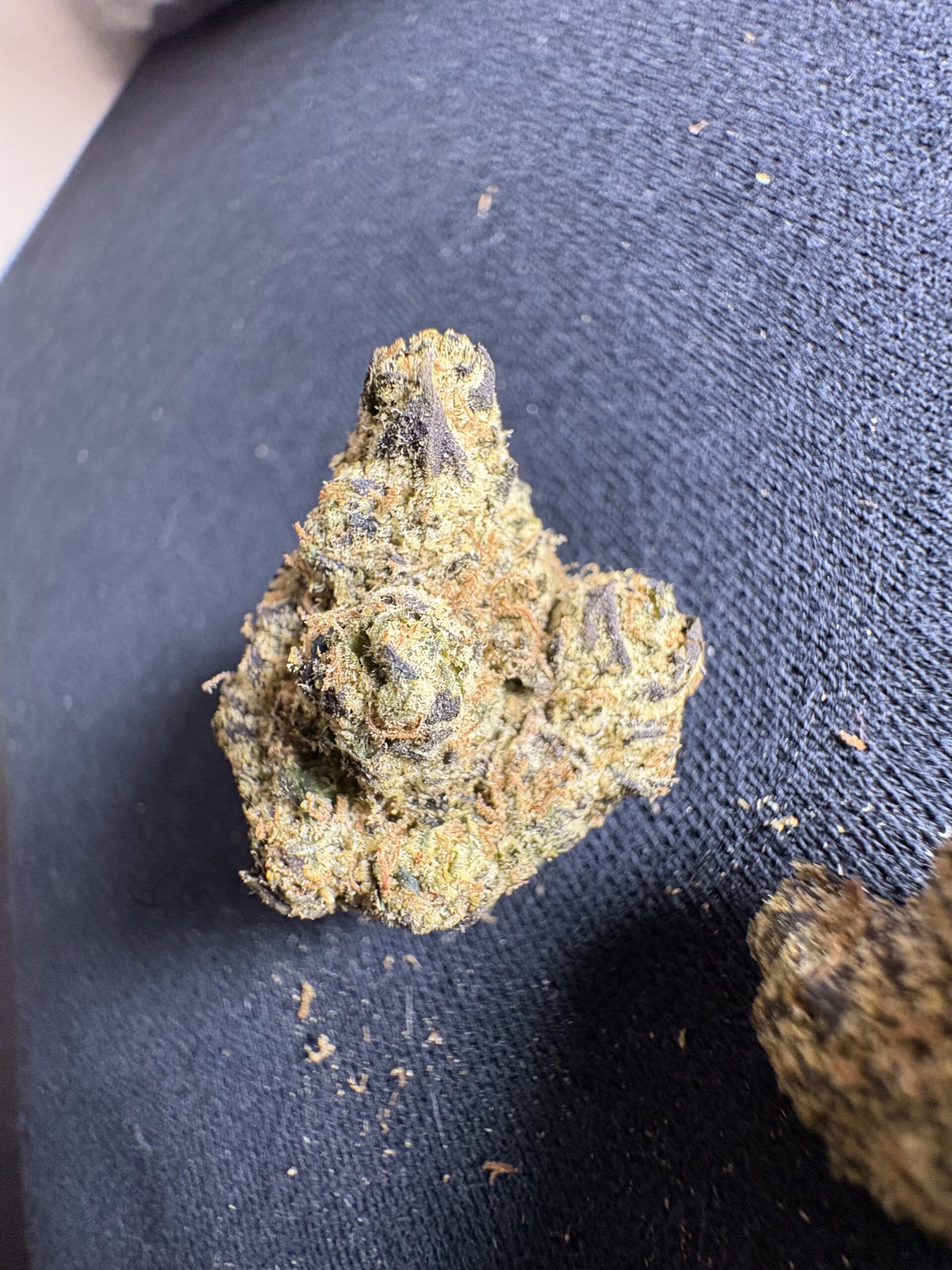 Blue Nerdz - Image 3