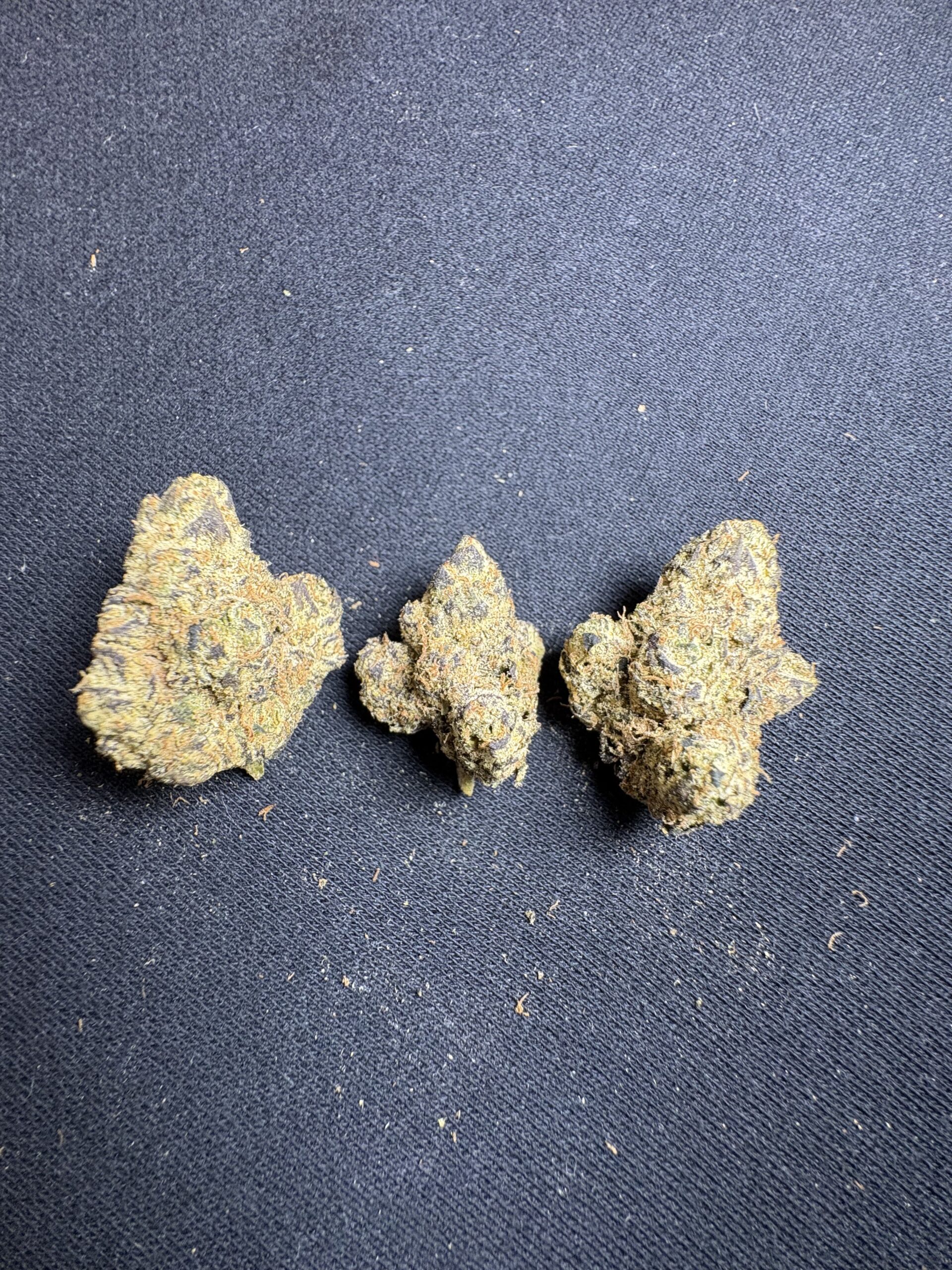 Blue Nerdz - Image 2