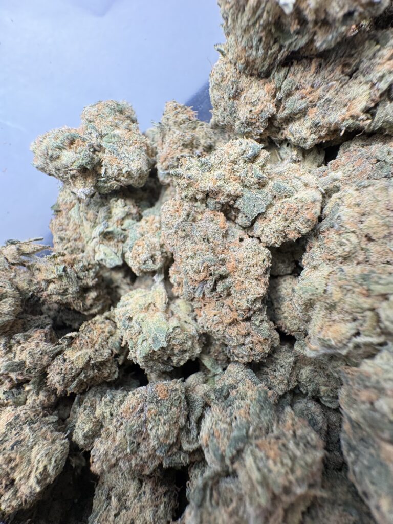 Grape RuntZ