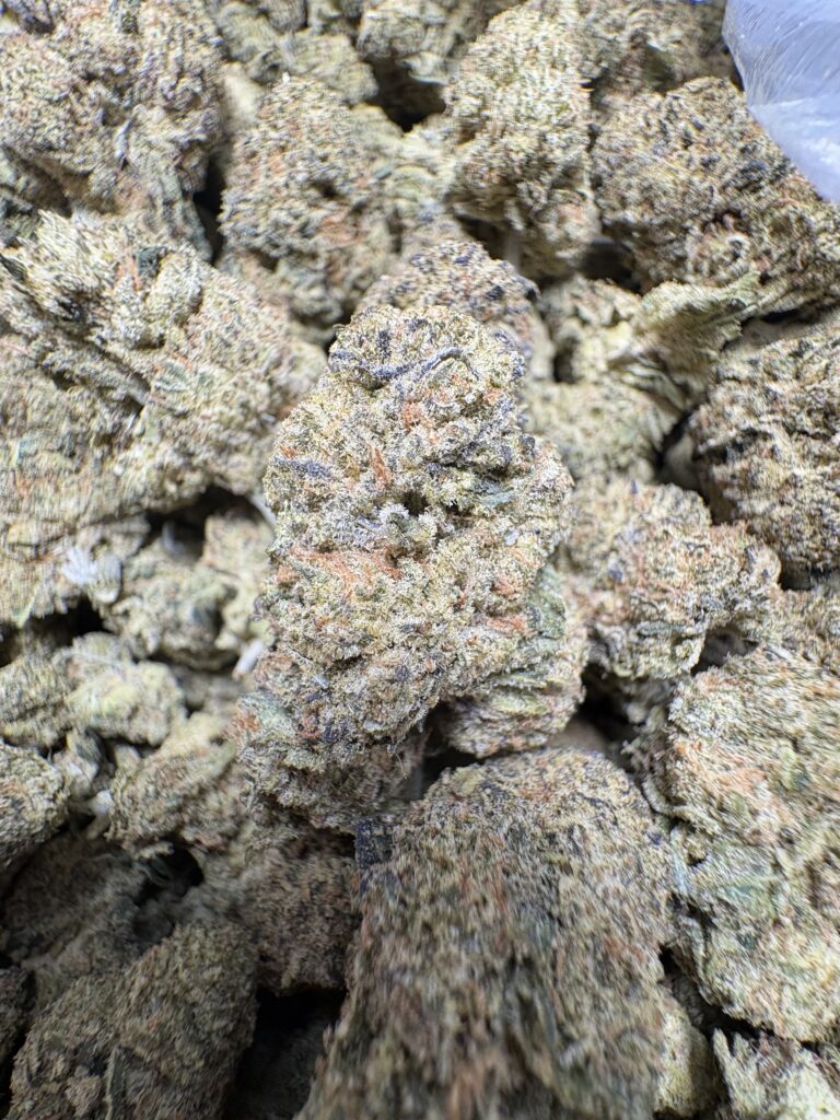 Cherry Pie X Cookie F2