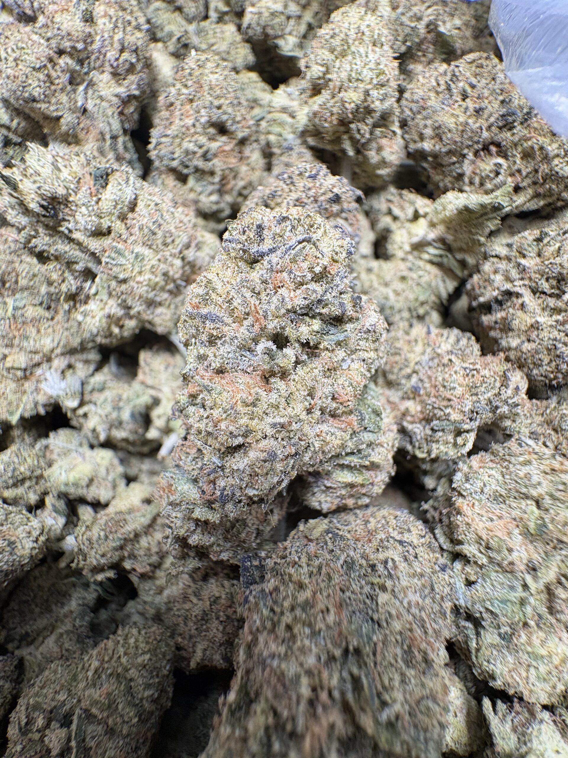 Cherry Pie X Cookie F2