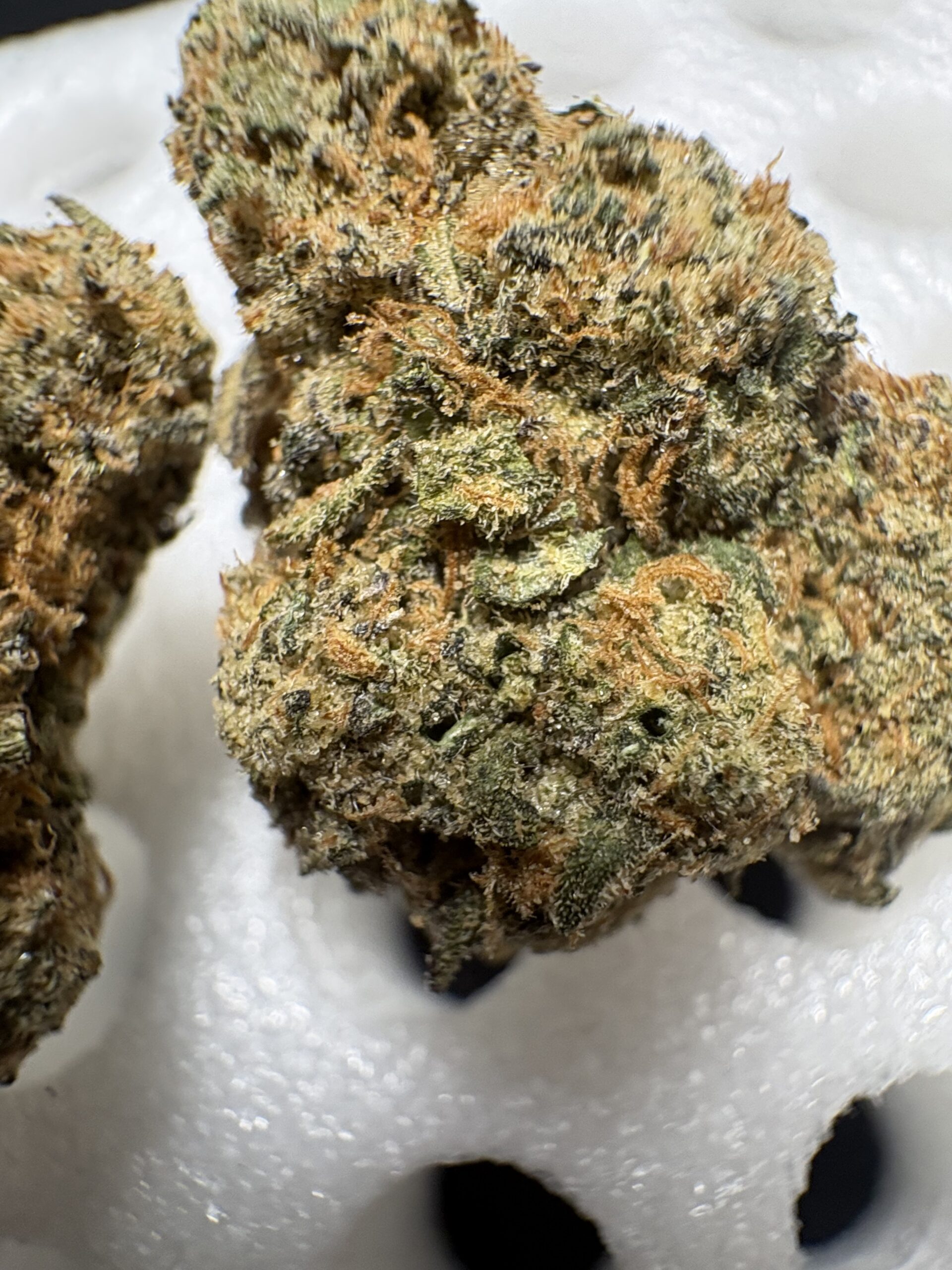 Grape RuntZ - Image 3
