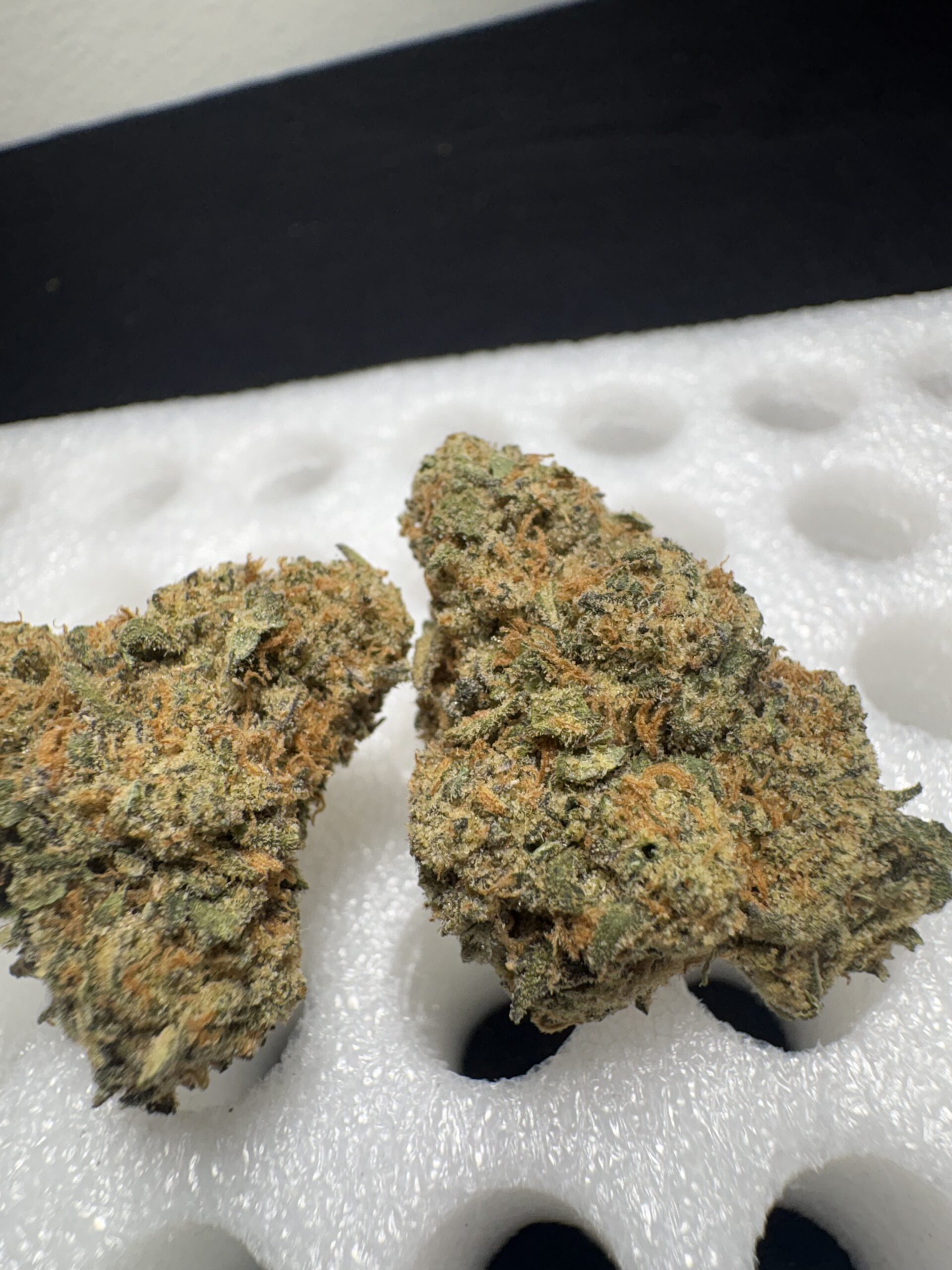 Grape RuntZ - Image 2